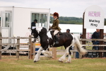 SBM_06153
