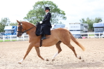 SBM_03451
