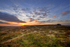 Higger Tor Sunrise 01