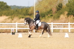 SBM_017799