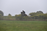 WJ5_7371
