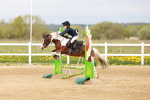SBM_003716