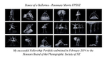 Rosemary Morris - PSNZ Fellowship Distinction 2014