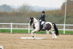 SBM_006795