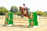 SBM_000582