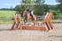 BPP_3722