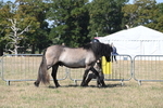 WJ6_4378