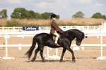 SBM_03801