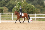 SBM_01529