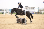 SBM_001686