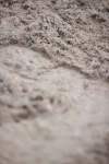SBM_003960