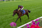 190826-Race 3-Maltese Cross-0347