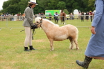 SBM_04451