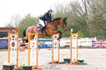 Cls 35 Young Horse 7yr old portfolio
