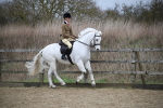 SBM_006071