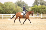 SBM_002004