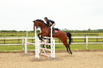 SBM_001985