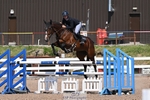 Foxhunter and 1.20m Open portfolio