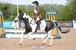 BRC Area 12 Showjumping, Saturday 2nd - Click to View portfolio