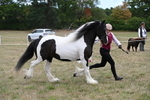 WJ6_5388