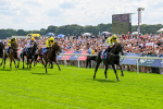 260725-Race 3-Royal Champion-0453