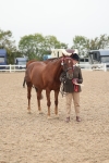 Class 318 - IH Part Bred Horse-Pony portfolio