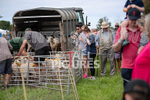 Guernsey Agricultural Show 2021-131