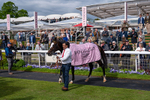 150526-Race 5-Rahiebb-3007