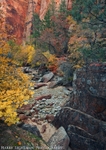 Canyon Colors