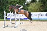 Cls 11 Foxhunter & 1.20m Open portfolio