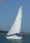 090829 WHYDAH 5330Y  IMG_3005