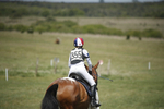 BVHT 140517  IXC -695
