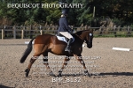 BPP_8132