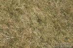 _PJP6045