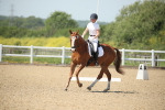 SBM_009482