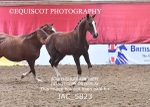 JAC_5823