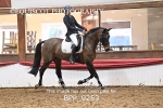 BPP_9253