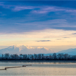Landscape portfolio