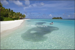 Strandszene 3, die Malediven