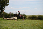 WJ6_8426