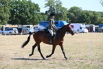 WJ6_8359