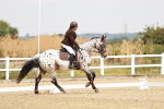 SBM_002745