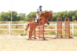 SBM_004438