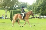 SBM_62420