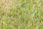 SBM_08414