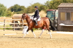 SBM_000349