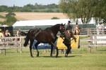 SBM_09108