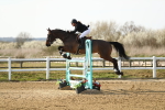 SBM_001596