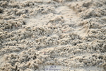 251004A-090404-00047