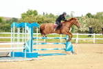 SBM_000986